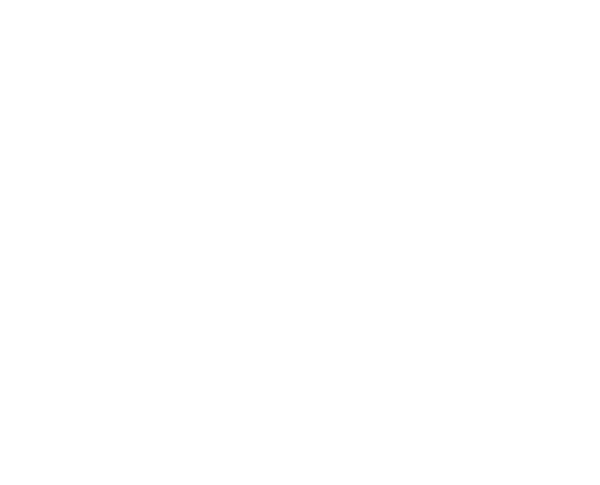 NOM Esports